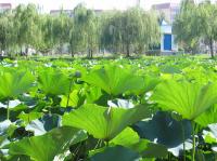 Albums/20060800-China Aug 2006/20060804-Shenyang University/28